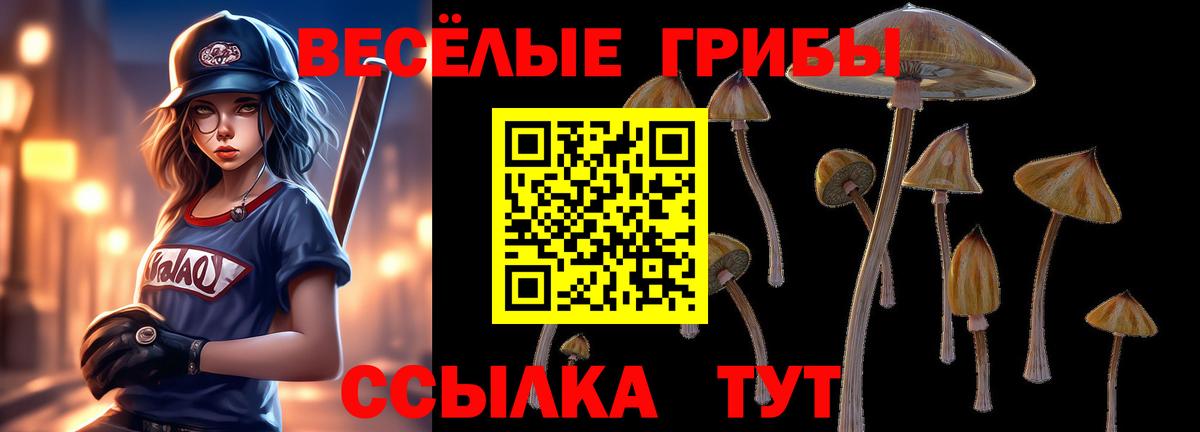 Мелеуз  Галлюциногенные грибы прущие грибы  Вход с VPN  Галлюциногенные грибы ЛСД 